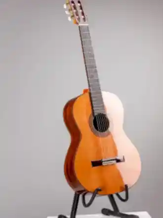 Gitar